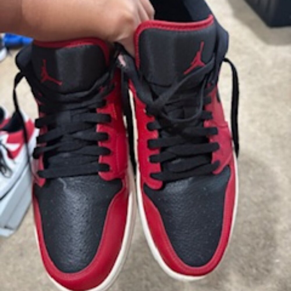 Air Jordan 1 Low Bred